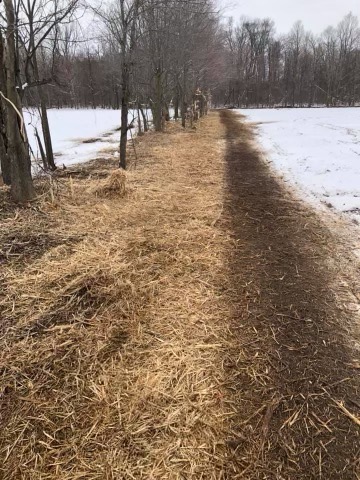Video Preview for Land Clearing & Mulching